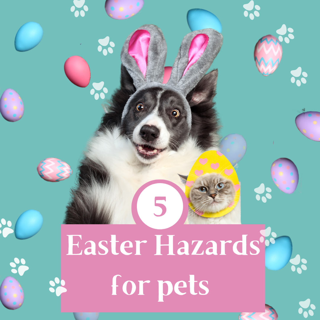 Thumbnail for Tips for a Safer Easter with your Pets