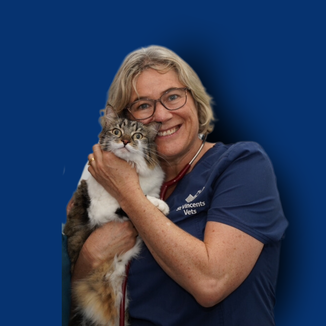 Dr Megan Bredhauer