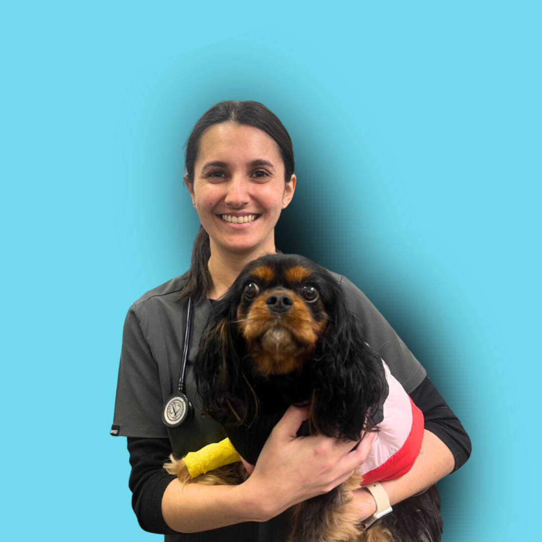 Dr Sabrina Espindola Vieira