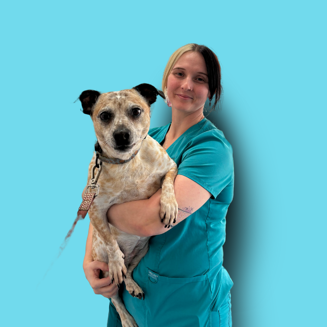 Sam - Senior Veterinary Nurse