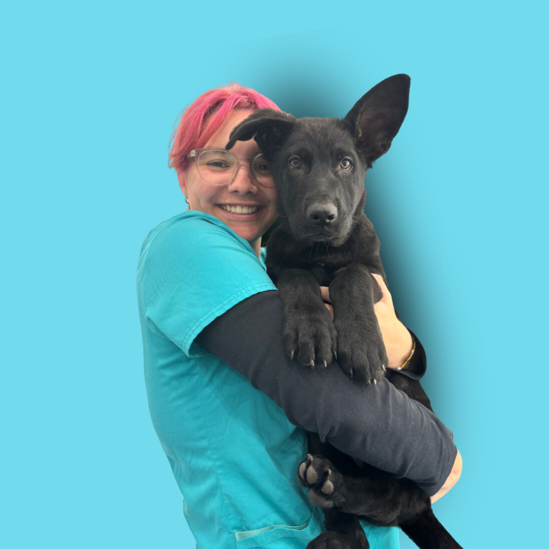 Daniee - Veterinary Nurse
