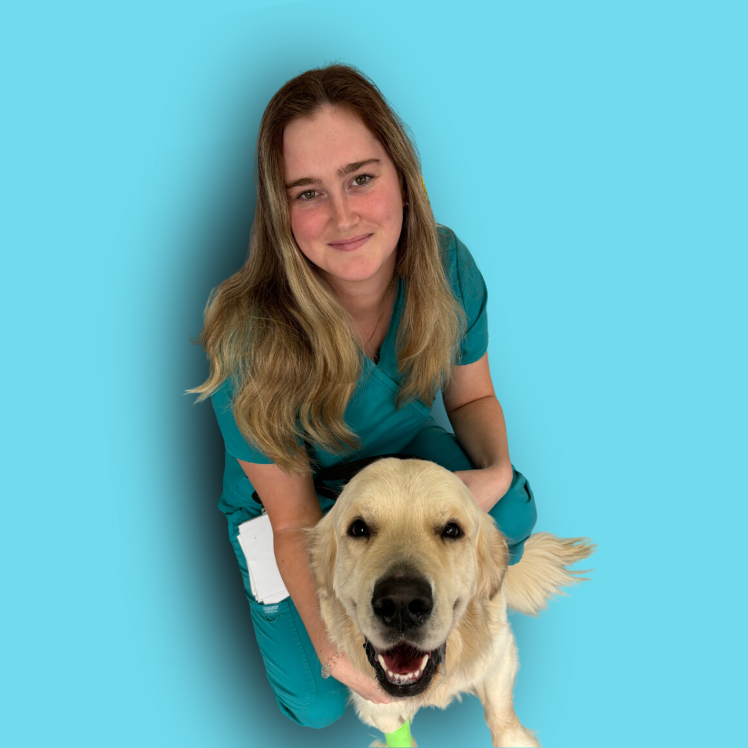 Holly H - Veterinary Nurse