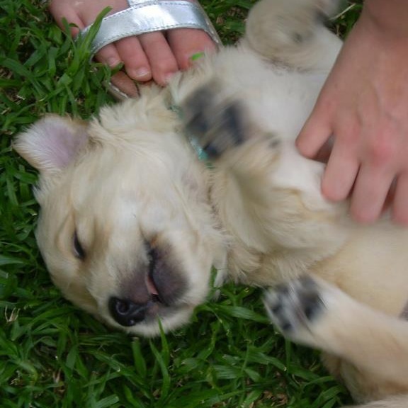 Roland as a Puppy