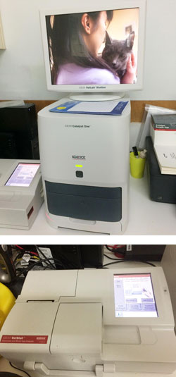 Inhouse Lab Machine